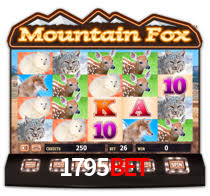 1795bet casino